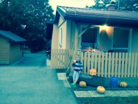 /album/www-weine-de/fullsizerender-1-jpg/