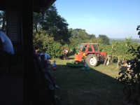 /album/www-weine-de/img-4761-jpg/