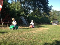 /album/www-weine-de/img-4768-jpg/