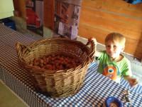 /album/www-weine-de/img-4908-jpg/