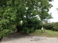 /album/www-weine-de/img-4912-jpg/