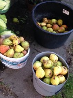 /album/www-weine-de/img-1013-jpg/