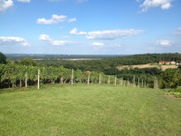 /album/www-weine-de/img-1056-jpg/