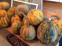 /album/www-weine-de/img-1072-jpg/