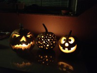 /album/www-weine-de/img-1081-jpg/