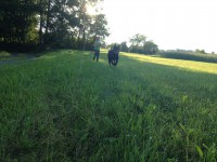 /album/www-weine-de/img-1113-jpg/