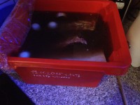 /album/www-weine-de/img-5122-jpg/