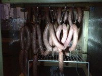 /album/www-weine-de/img-5550-jpg1/