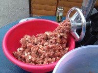 /album/www-weine-de/img-1537-jpg/