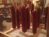 /album/www-weine-de/img-1544-jpg/