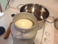 /album/www-weine-de/img-1613-jpg1/