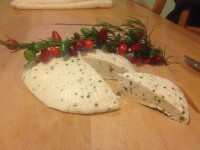 /album/www-weine-de/img-1640-jpg1/