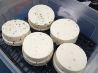 /album/www-weine-de/img-1735-jpg/