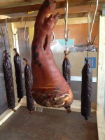 /album/www-weine-de/img-1860-jpg/