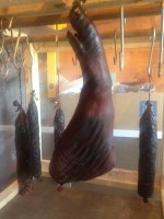 /album/www-weine-de/img-1872-jpg/