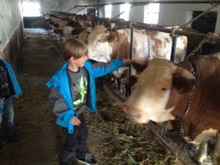 /album/www-weine-de/img-1875-jpg/