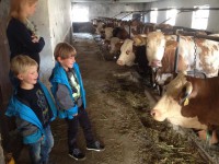 /album/www-weine-de/img-1878-jpg/