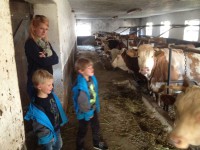 /album/www-weine-de/img-1880-jpg/