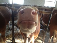 /album/www-weine-de/img-1881-jpg/