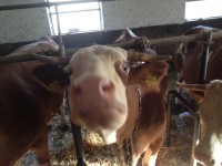 /album/www-weine-de/img-1883-jpg/