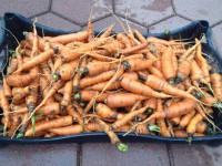 /album/www-weine-de/img-1942-jpg/